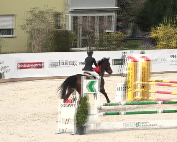 Reitturnier Horn 2018