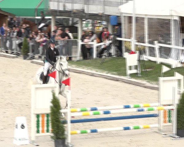 Reitturnier Horn 2018