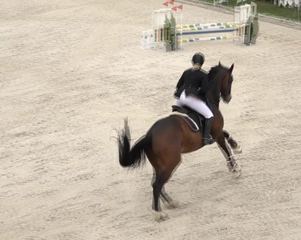 Reitturnier Horn 2018