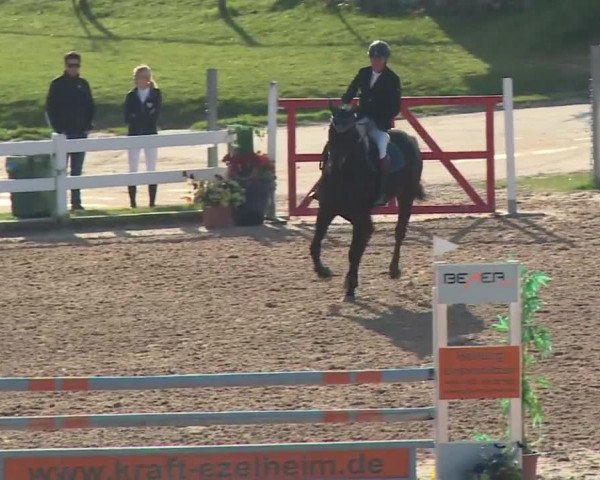 Reitturnier Kreuth 2018