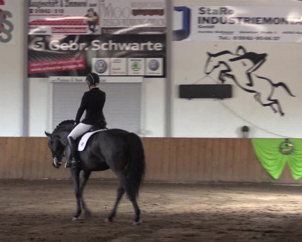 Reitturnier Dohren 2018