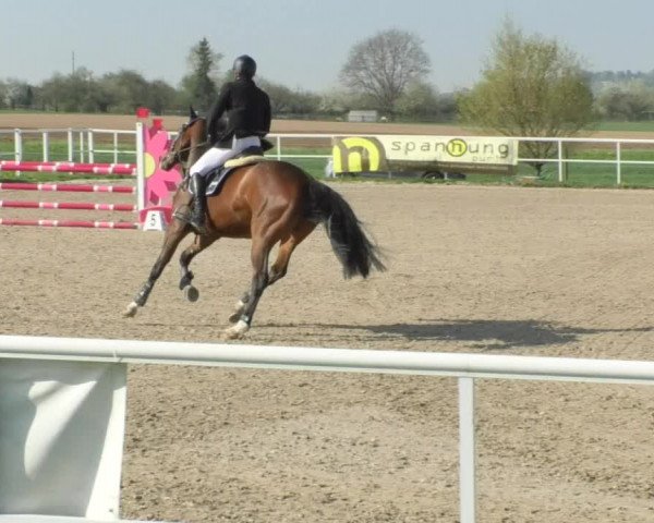 Reitturnier Langenau 2018