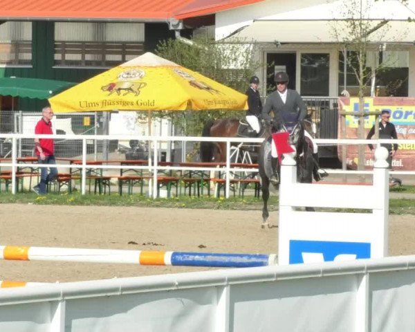 Reitturnier Langenau 2018