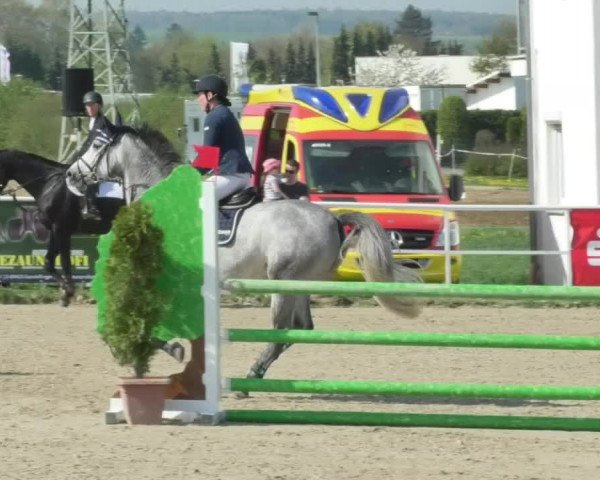 Reitturnier Langenau 2018