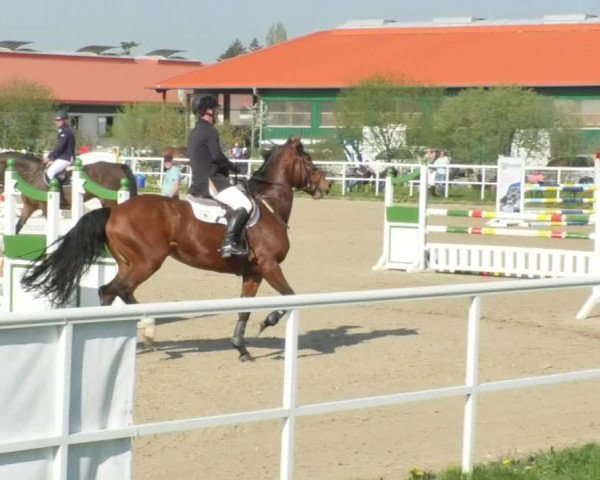 Reitturnier Langenau 2018