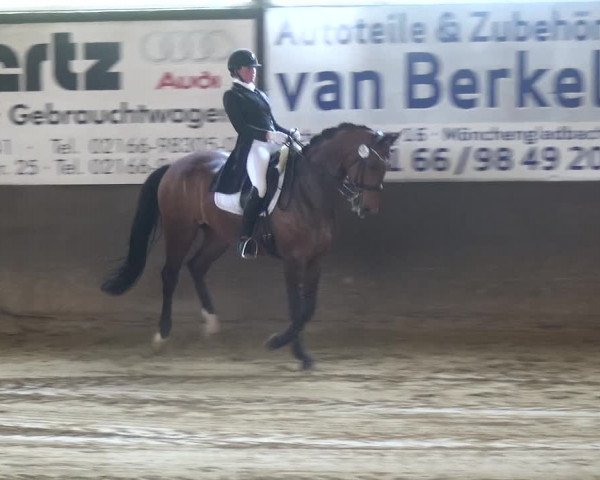 Reitturnier Jüchen-Waat 2018