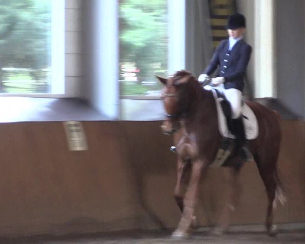 Reitturnier Dohren 2018