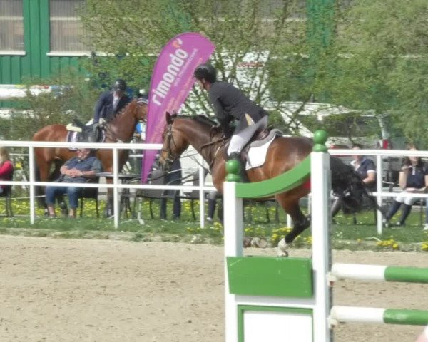 Reitturnier Langenau 2018