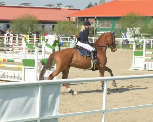 Reitturnier Langenau 2018