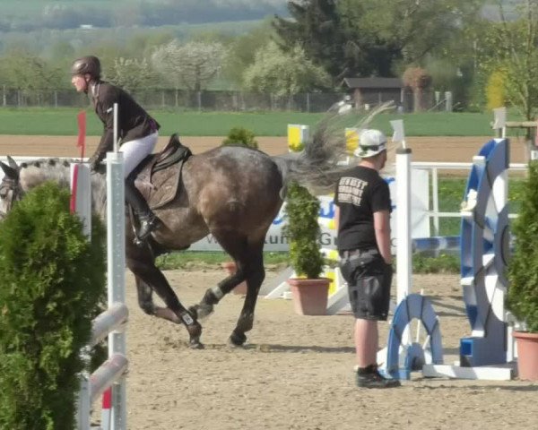 Reitturnier Langenau 2018