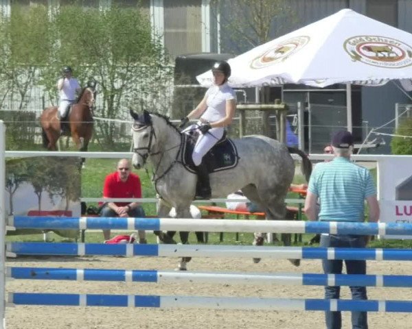Reitturnier Langenau 2018