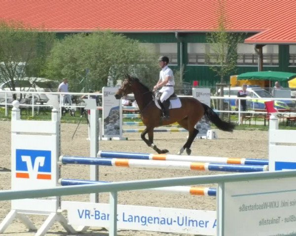 Reitturnier Langenau 2018