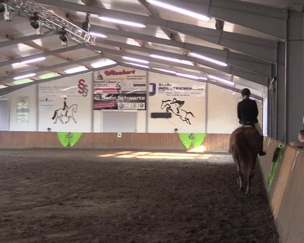 Reitturnier Dohren 2018