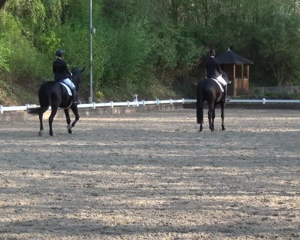 Reitturnier Mettmann - Reitanlage Löckenhoff 2018