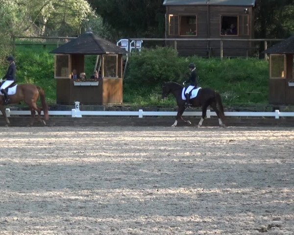 Reitturnier Mettmann - Reitanlage Löckenhoff 2018