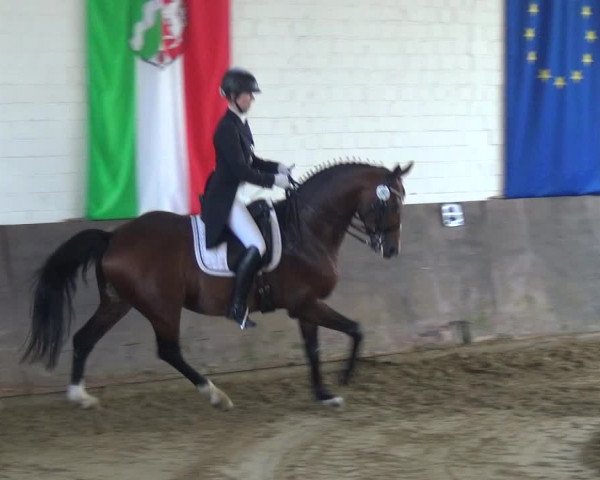 Reitturnier Jüchen-Waat 2018