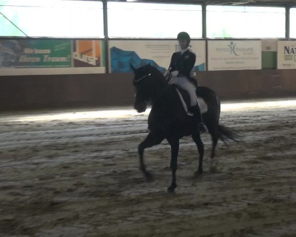 Reitturnier Jüchen-Waat 2018