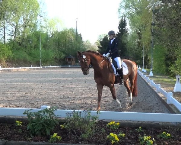 Reitturnier Mettmann - Reitanlage Löckenhoff 2018