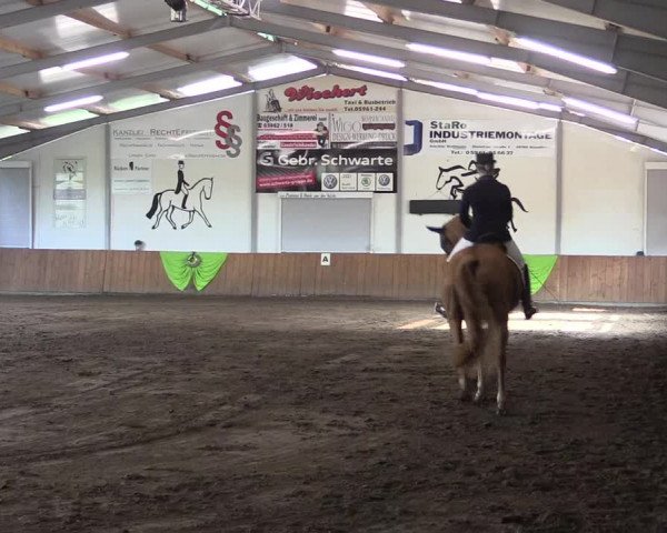 Reitturnier Dohren 2018
