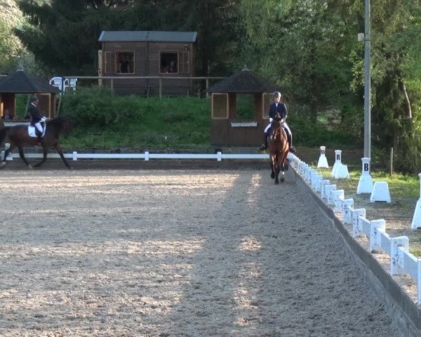 Reitturnier Mettmann - Reitanlage Löckenhoff 2018