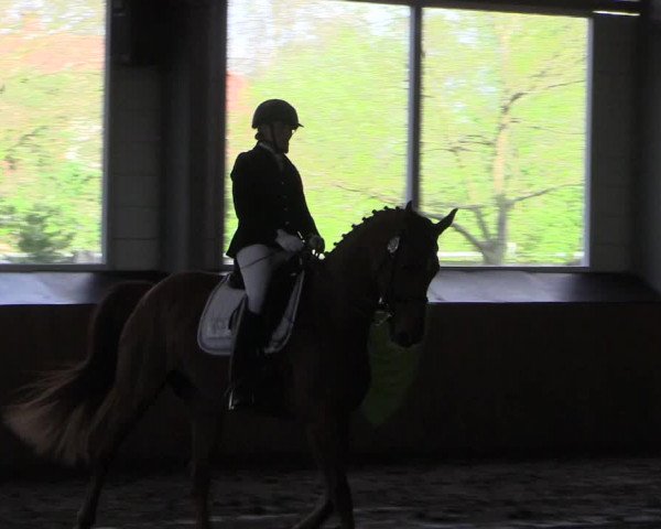 Reitturnier Dohren 2018