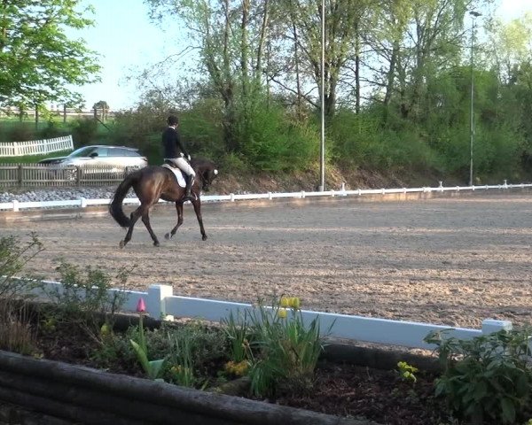 Reitturnier Mettmann - Reitanlage Löckenhoff 2018