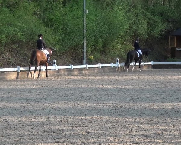Reitturnier Mettmann - Reitanlage Löckenhoff 2018