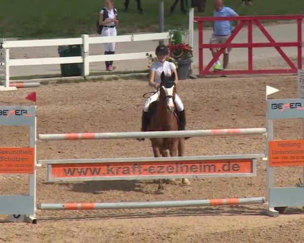 Reitturnier Kreuth 2018