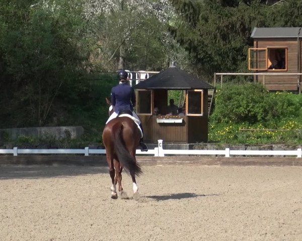 Reitturnier Mettmann - Reitanlage Löckenhoff 2018