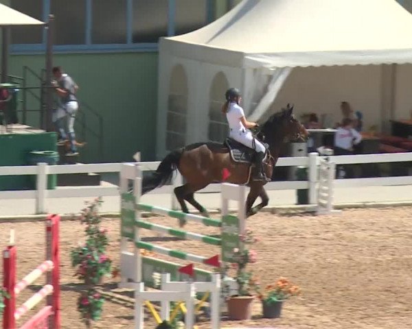 Reitturnier Kreuth 2018