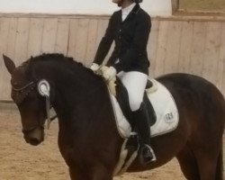 broodmare Fortuna 446 (Württemberger, 2009, from For Europe)