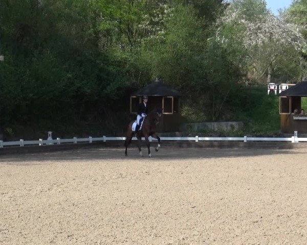 Reitturnier Mettmann - Reitanlage Löckenhoff 2018