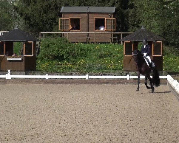 Reitturnier Mettmann - Reitanlage Löckenhoff 2018