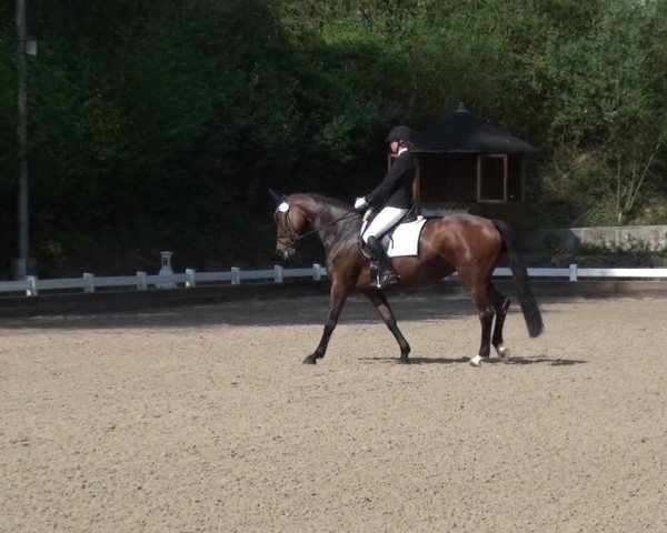 Reitturnier Mettmann - Reitanlage Löckenhoff 2018