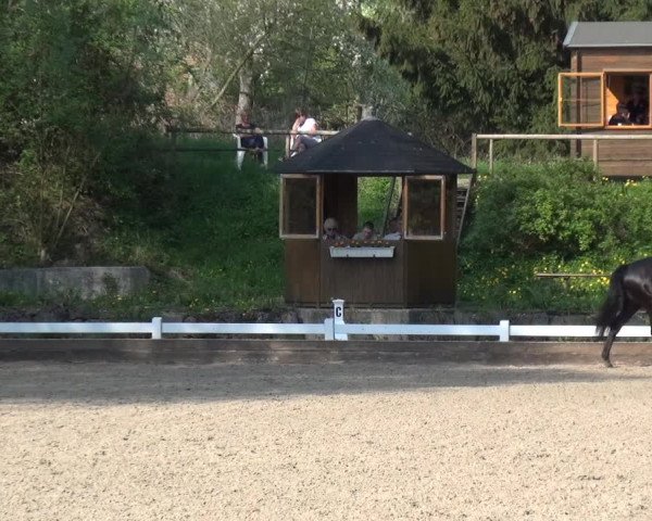Reitturnier Mettmann - Reitanlage Löckenhoff 2018