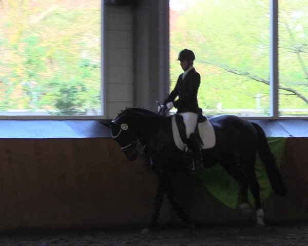 Reitturnier Dohren 2018