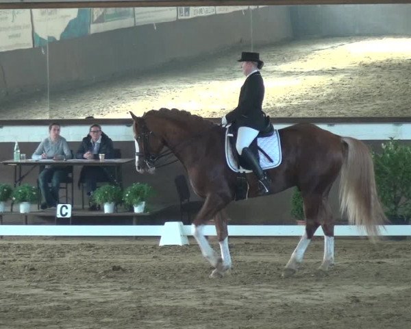 Reitturnier Jüchen-Waat 2018