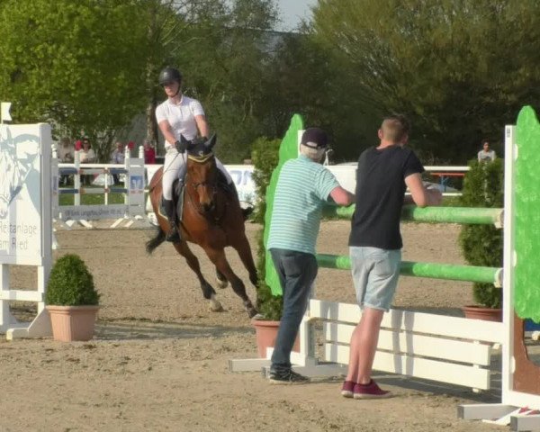 Reitturnier Langenau 2018