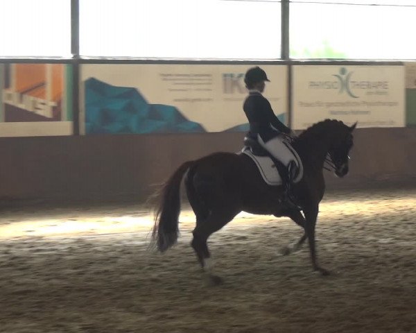 Reitturnier Jüchen-Waat 2018