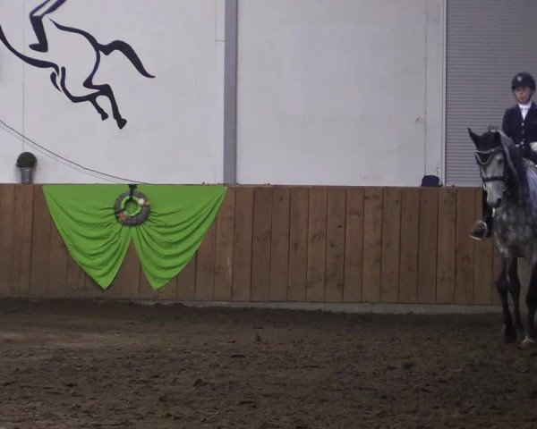Reitturnier Dohren 2018