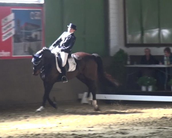 Reitturnier Jüchen-Waat 2018