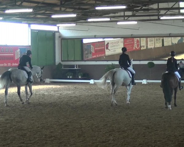 Reitturnier Jüchen-Waat 2018