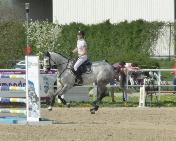 Reitturnier Langenau 2018