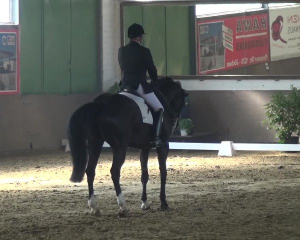 Reitturnier Jüchen-Waat 2018