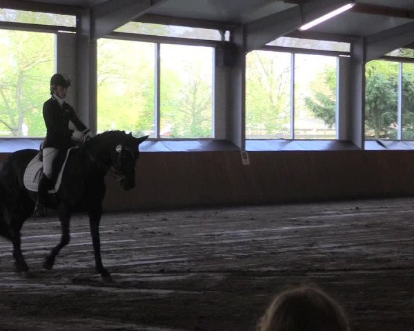 Reitturnier Dohren 2018