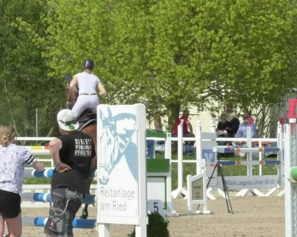 Reitturnier Langenau 2018