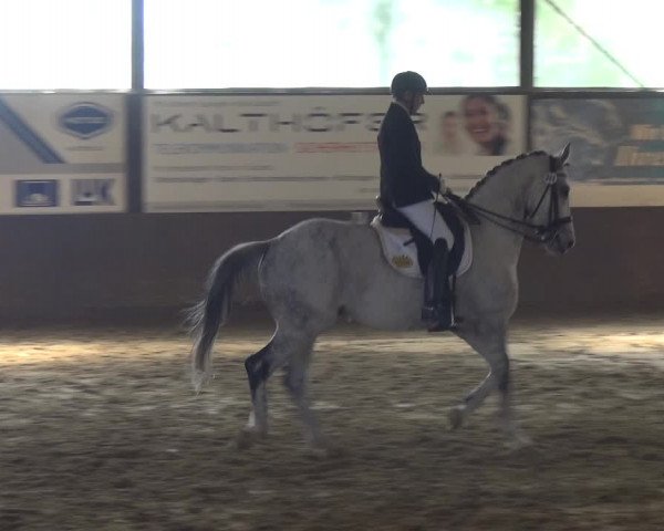 Reitturnier Jüchen-Waat 2018