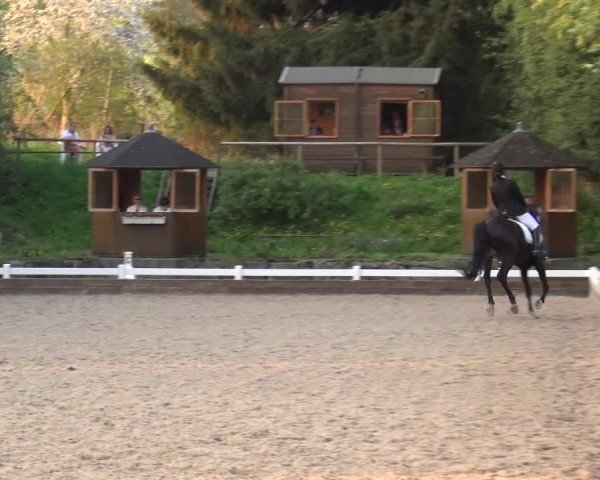 Reitturnier Mettmann - Reitanlage Löckenhoff 2018