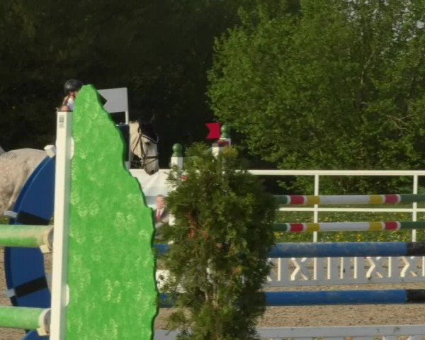 Reitturnier Langenau 2018