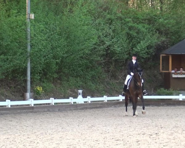 Reitturnier Mettmann - Reitanlage Löckenhoff 2018
